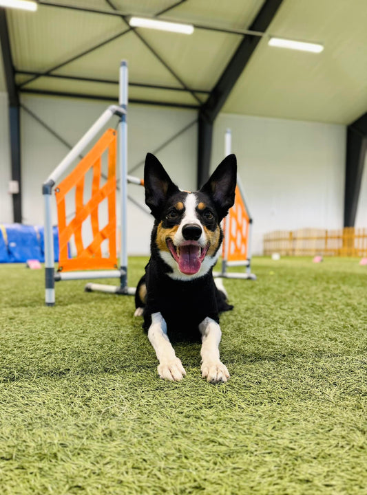 Så bygger du en pålitlig startlinje – steg för steg-guide