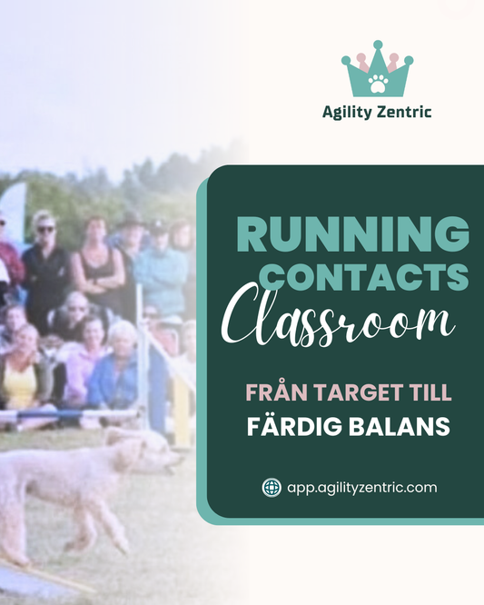 Running Contacts Classroom - Agilitykurs Online